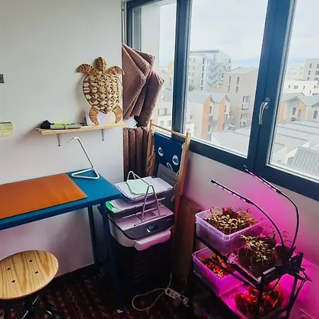 Superbe Appartement Avec Terrasse Et Vue Bordeaux